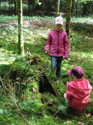 Natur reality Feenhöhle im Wald