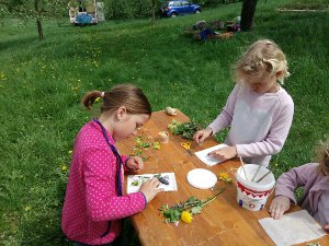 Baseln mit Wiesenpflanzen bei Natur reality in Lichtenfels, Franken