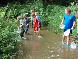 Wasserbewohner am Bach suchen bei Natur reality in Lichtenfels, Franken