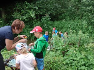 Wassertiere hautnah bei Natur reality in Lichtenfels, Franken