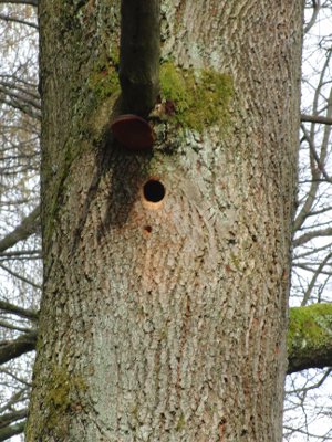 bei Natur reality in Lichtenfels, Franken