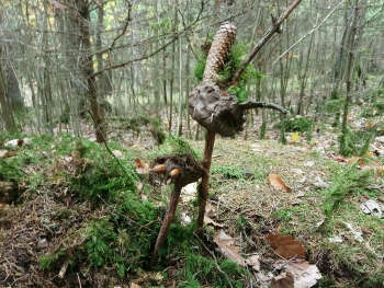 Kreative Gestalten bei Natur reality in Lichtenfels Franken