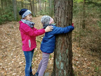 Baumfühlung im Wald mit Natur Reality Lichtenfels Franken