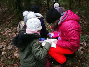 Tierfrassspuren in Wald beim Veitsberg mit Natur reality Ebensfeld Franken